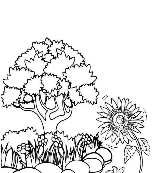 Dibujos de jardines para colorear