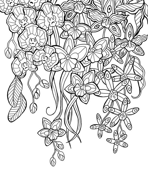Mon jardin intãrieur coloring book agenda abstract coloring pag mandala coloring pag coloring pag