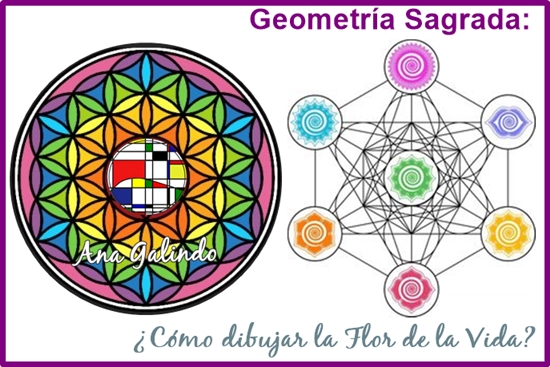 Ana galindo on x geometrãa sagrada cãmo dibujar la flor de la vida httpstcomxyotgjk httpstcoybbmxiwzla x