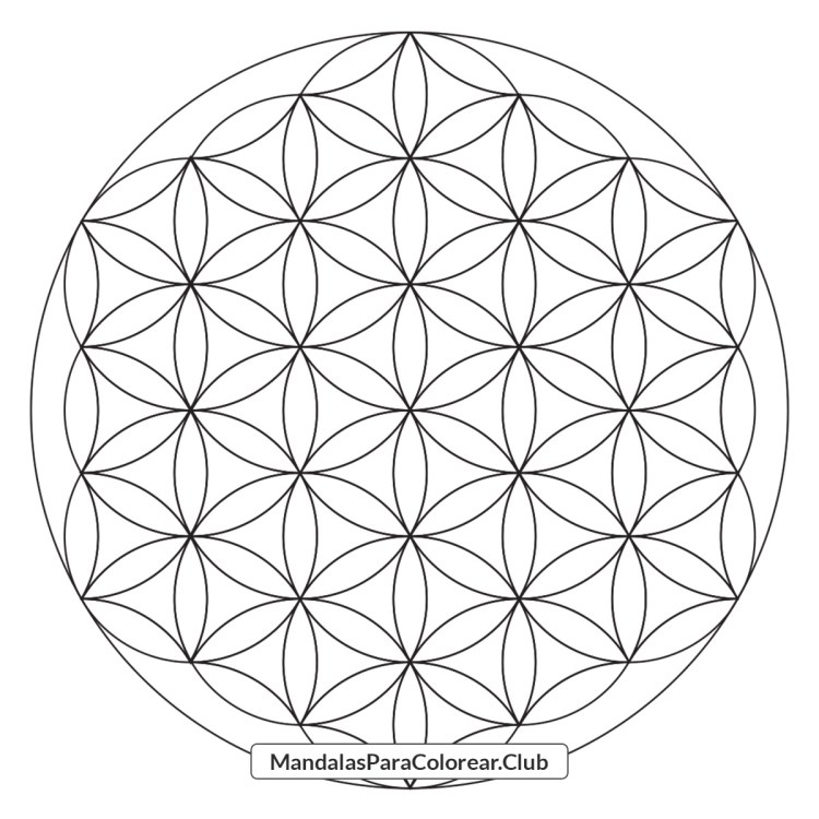 Â flor de la vida para descargar en pdf y jpg e imprimir