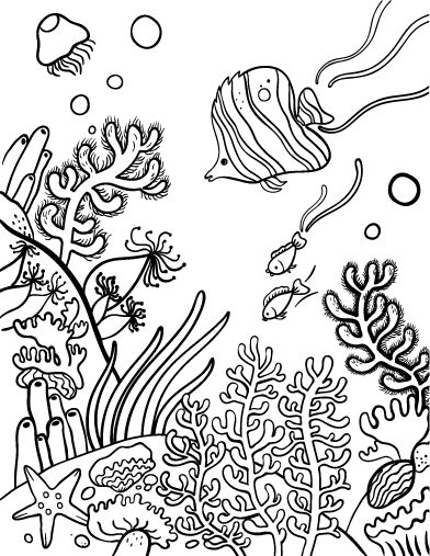 Free coral reef coloring page coral drawing coral reef drawing coloring pag