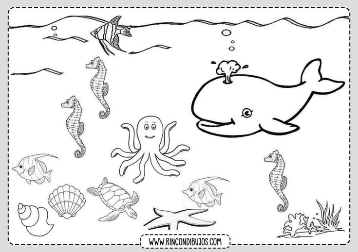 Dibujos de el mar para colorear imprimir y colorear mar para colorear dibujo del mar pãginas para colorear de animal