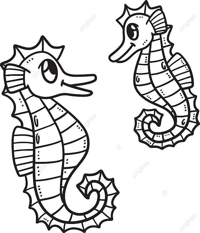 Dibujo de caballito mar bebã pãgina para colorear aislada niãos diseão ilustraciãn silueta vector png dibujos dibujo de caballo dibujo bebe dibujo de rata png y vector para dcargar gratis