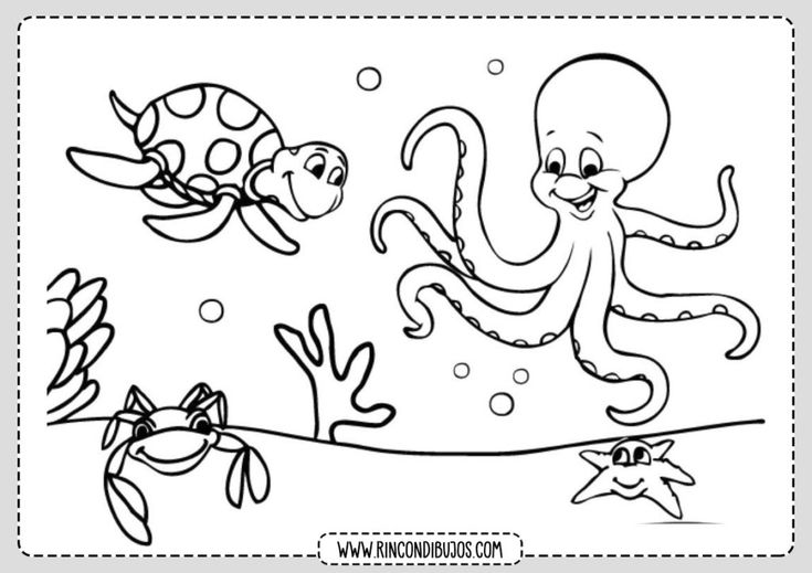 Dibujos de el mar para colorear imprimir y colorear pãginas para colorear del ocãano mar para colorear pãginas para colorear de animales