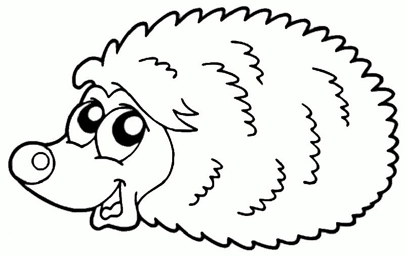 Animal erizo dibujo otoão dibujos de otoão pãginas para colorear de animal pãginas para colorear
