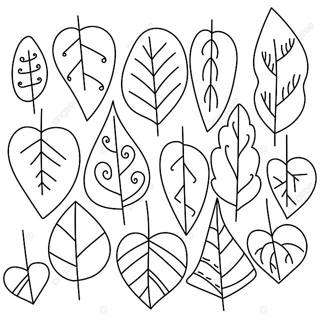 Dibujo de pãgina para colorear hojas otoão con patron lineal y rizos vector png dibujos dibujo de hoja dibujo de anillo dibujo de oreja png y vector para dcargar gratis