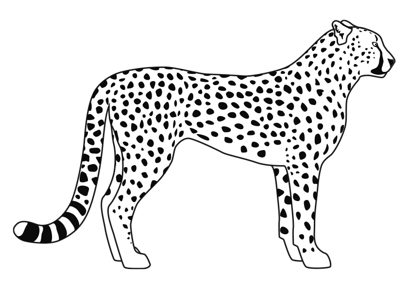 Dibujo de un leopardo para colorear a leopard coloring page