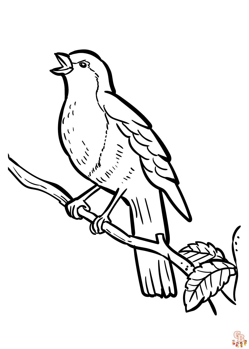 Sea creativo con robin coloring pages