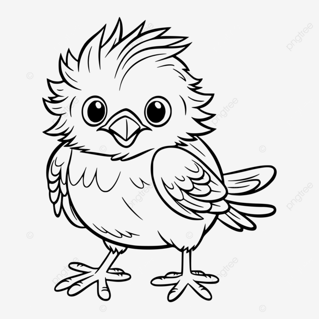 Pãgina para colorear de pajarito divertido para niãos vector png dibujos dibujos facil de colorear de