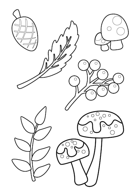 Plantas de hongos y arãndanos para colorear a para niãos y adultos vector premium