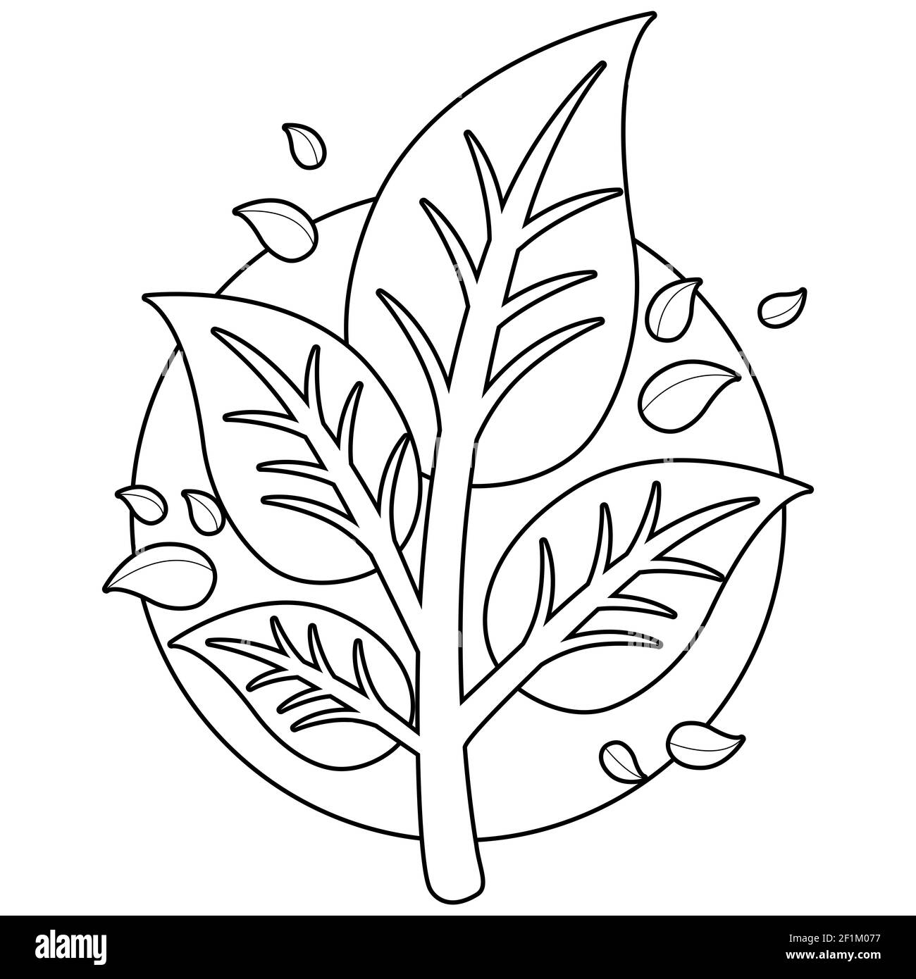 Black and white plant illustration hi