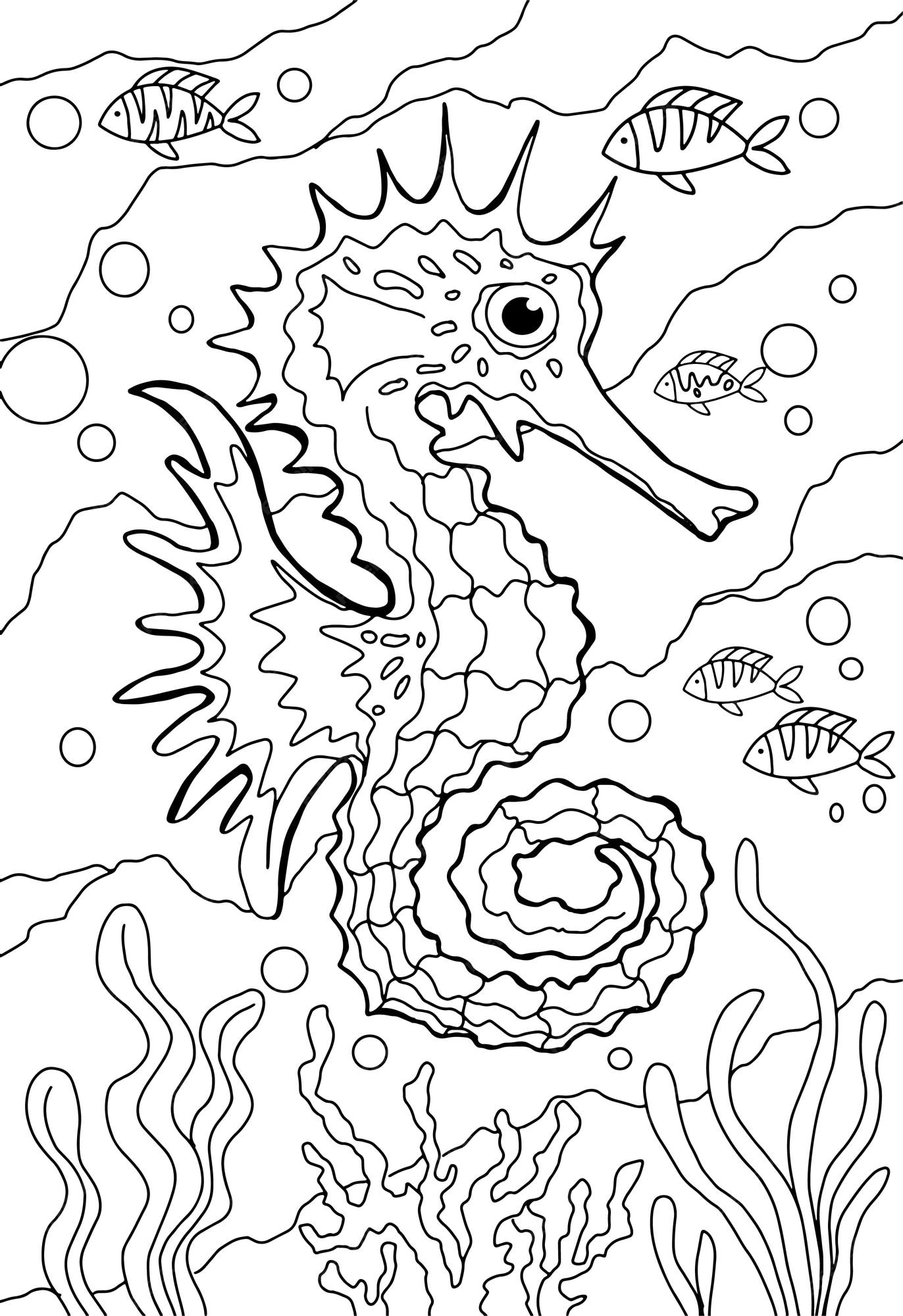 Livro de colorir anti