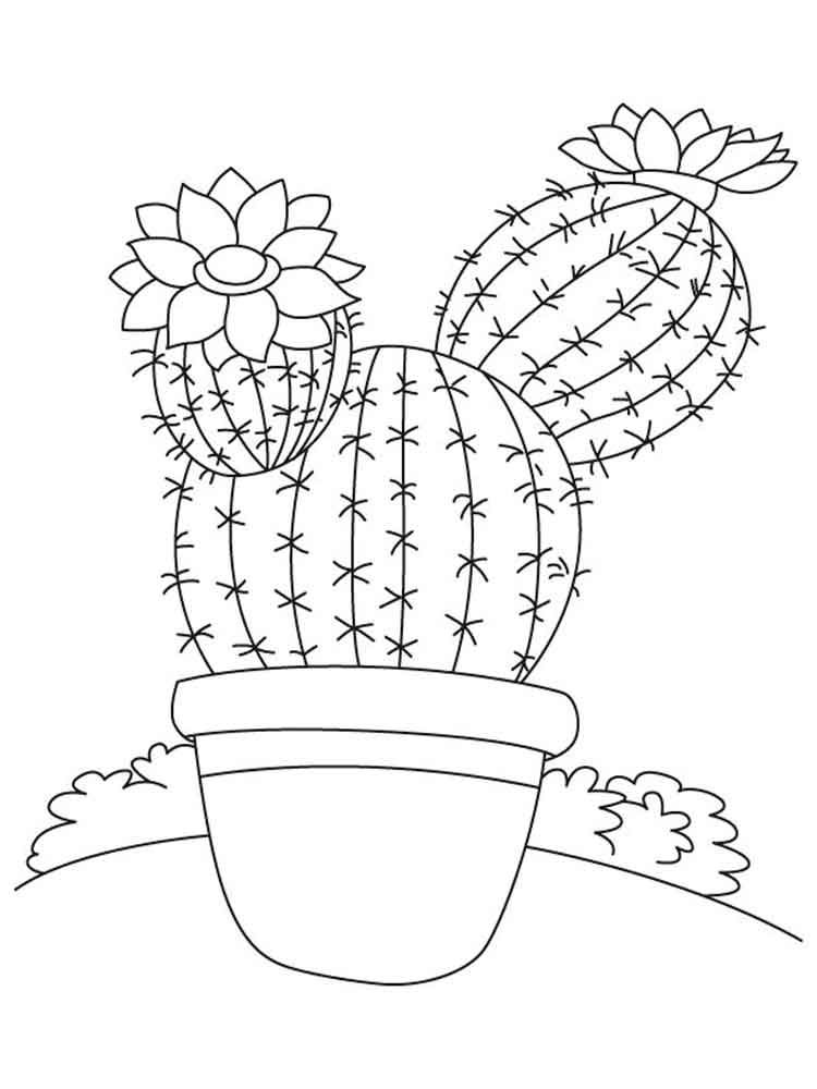 Desenhos de plantas para colorir e imprimir
