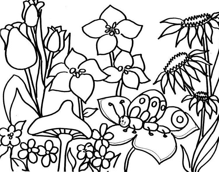 Dibujos primavera png