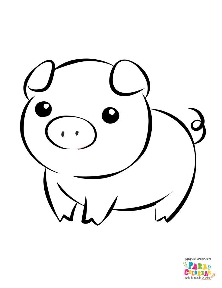 Dibujo de cerdos kawaii pintar para colorear para