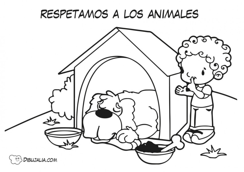 Consejo respetamos a los animales