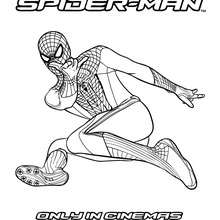 Dibujos para colorear spiderman