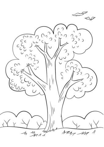Summer tree coloring page free printable coloring pages