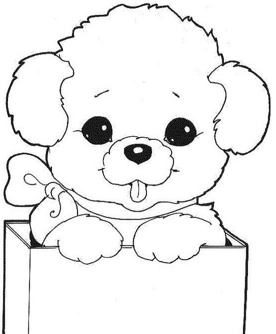 Perrito dog coloring page animal coloring pages coloring pages
