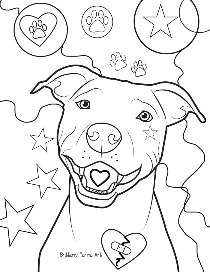 Pitbull coloring page dog coloring page download now