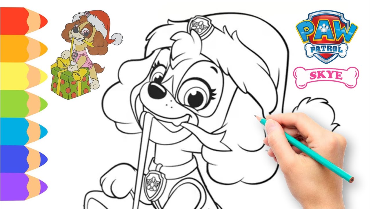 Drawing paw patrol skye ð paw patrol drawing easy step by step