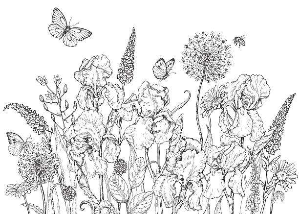 Adult coloring pages floral stock photos pictures royalty