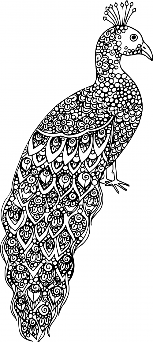 Plex coloring pages for teens and adults