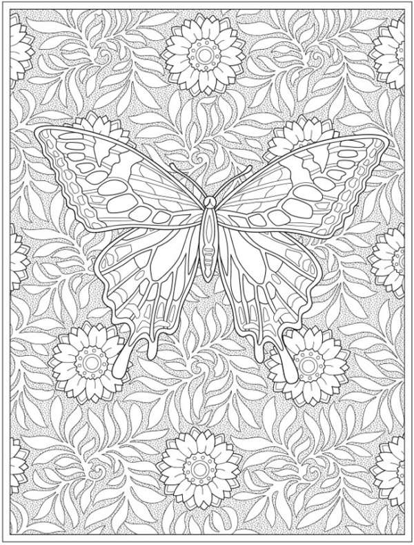 Butterfly coloring pages â