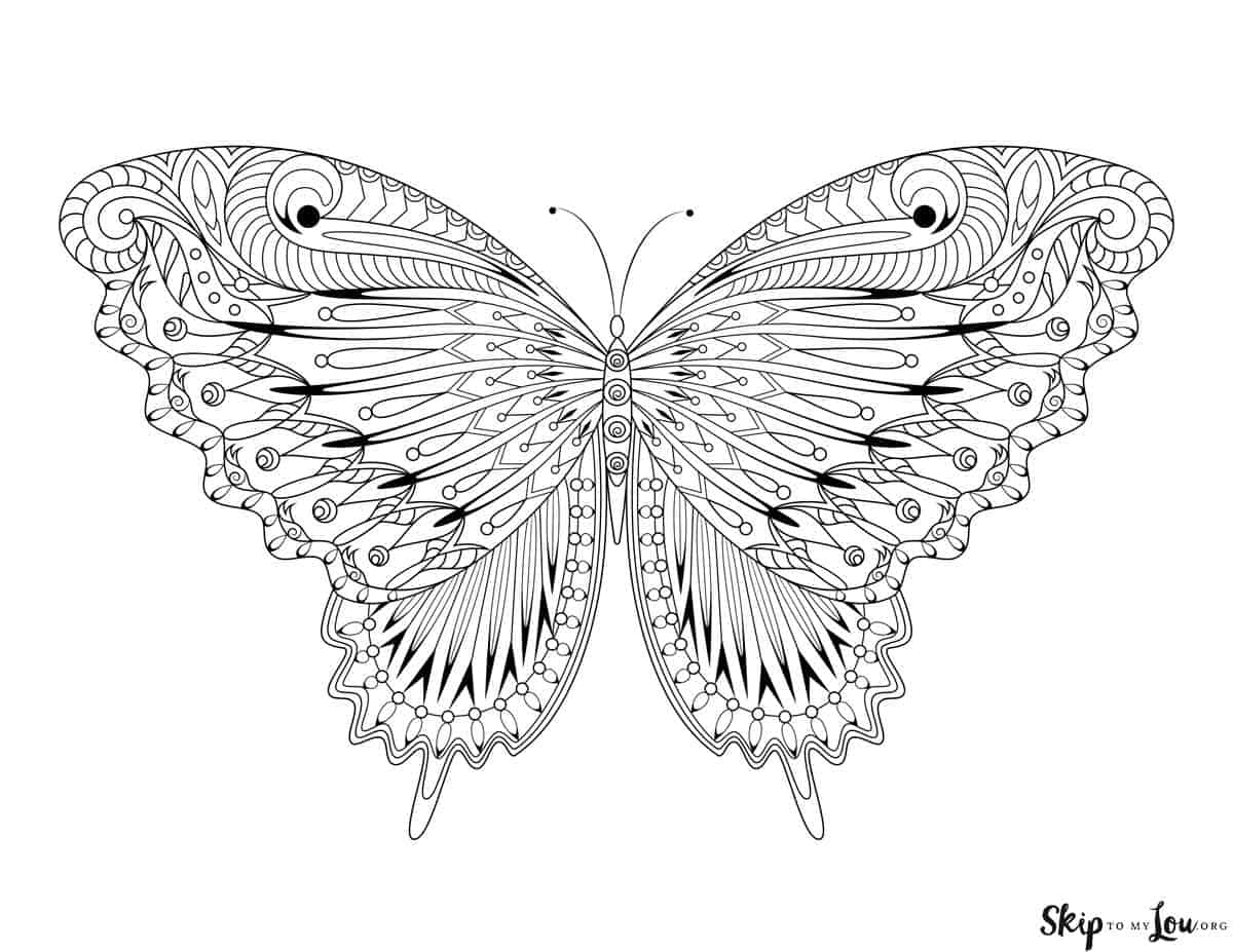 Beautiful butterfly coloring pages to download and print skip to my lou