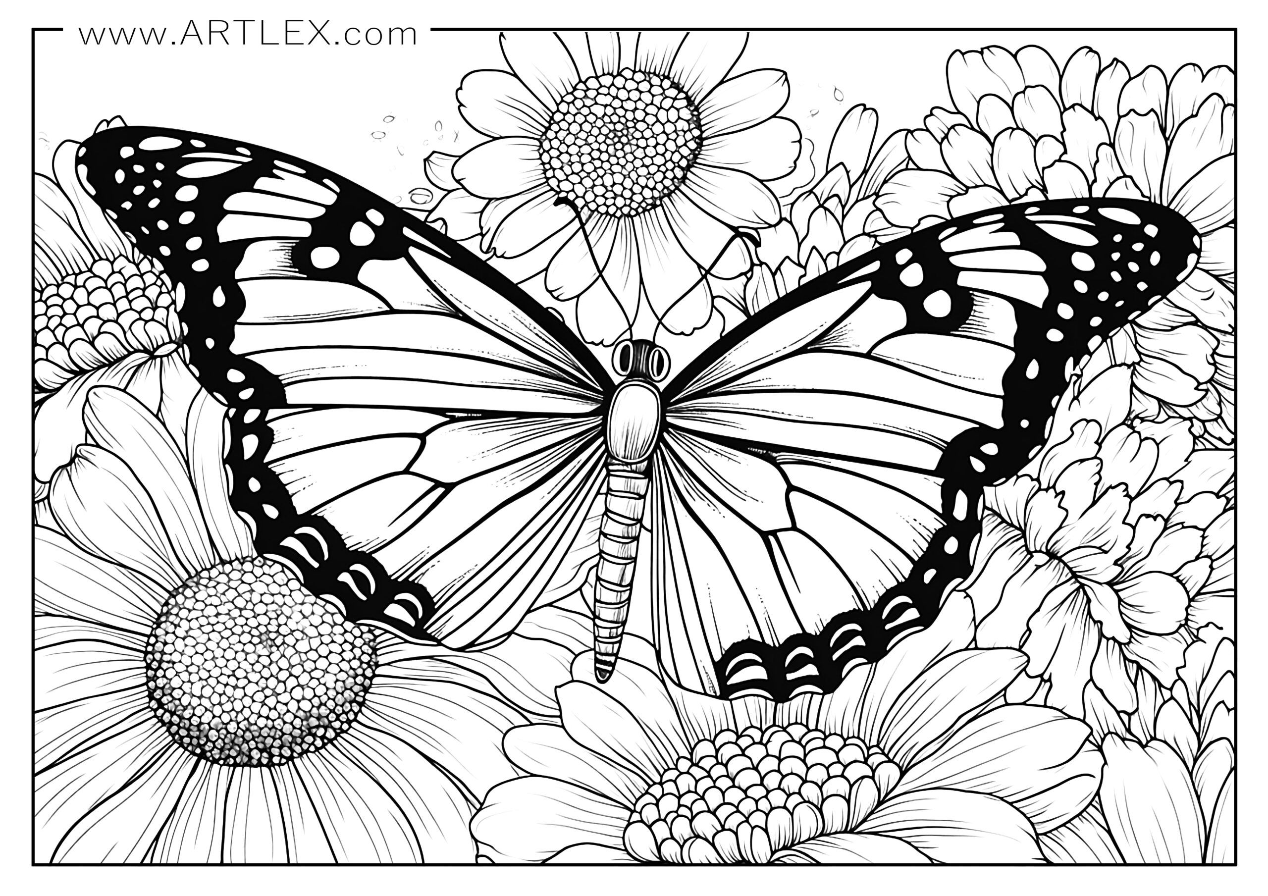 Best butterfly coloring pages free printable â