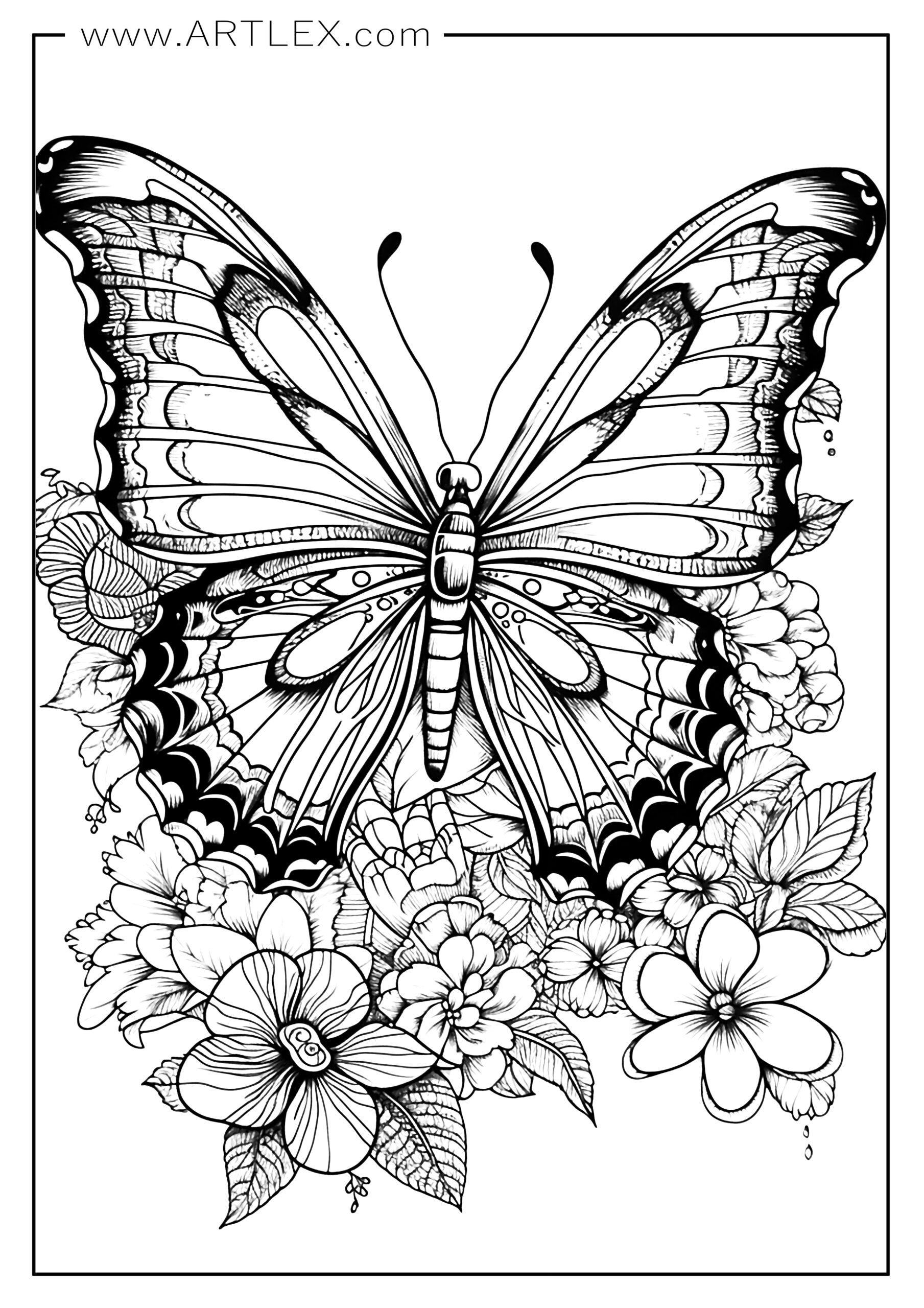 Best butterfly coloring pages free printable â