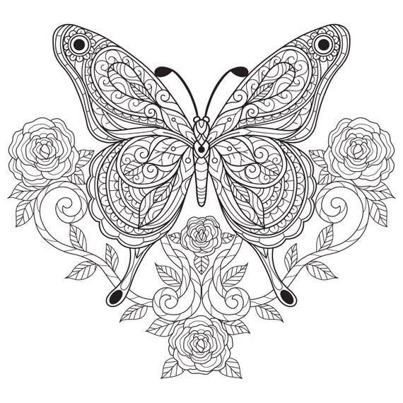 Digital printable beautiful butterfly coloring pages easy difficulty details pages