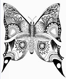 Difficult butterfly butterfly coloring page mandala coloring pages adult coloring pages