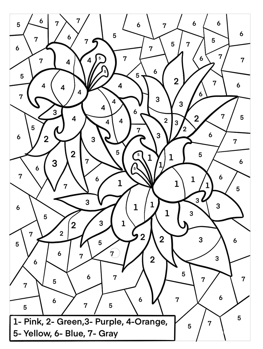 Hard difficult color by number