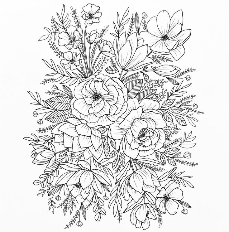 Karen b on instagram âfree coloring page in my bio you guys look at this beauty im so thrilled with hoâ desenhos para pintar desenhos para colorir desenhos