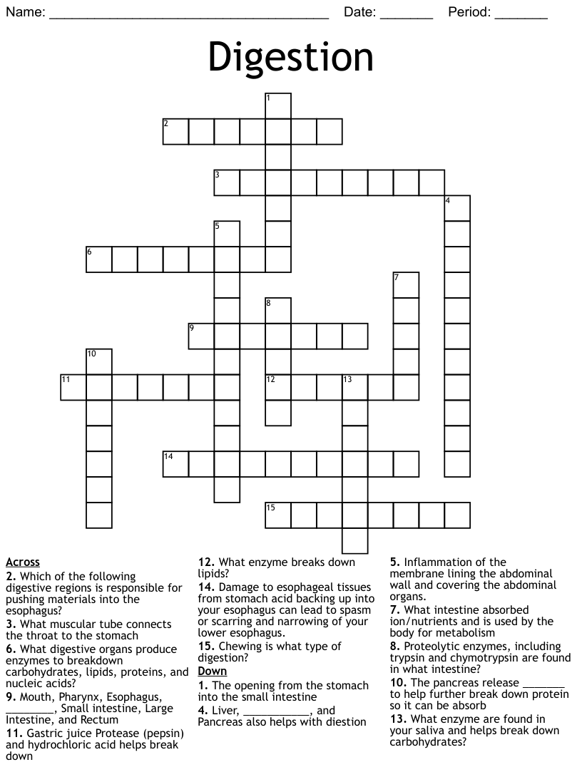 Digestion crossword