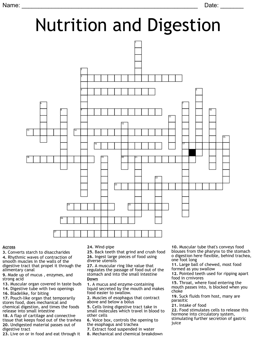 Nutrition and digestion crossword