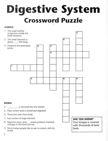 Digestive system crossword puzzle free printable puzzle games