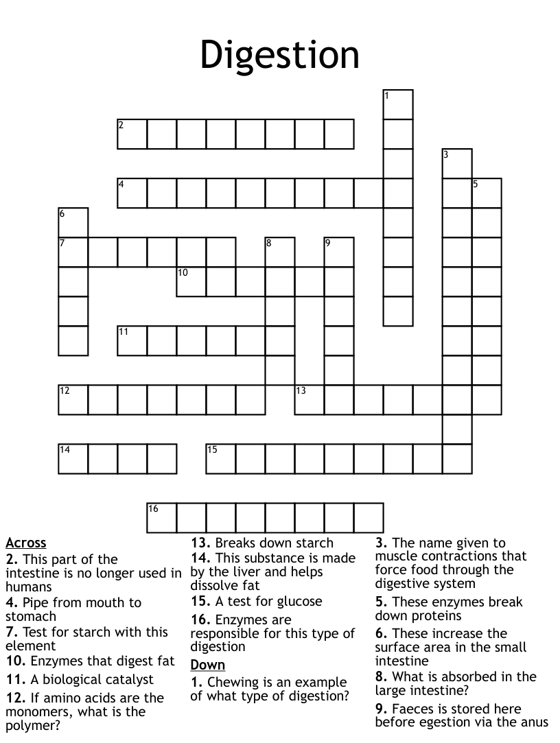 Digestion crossword