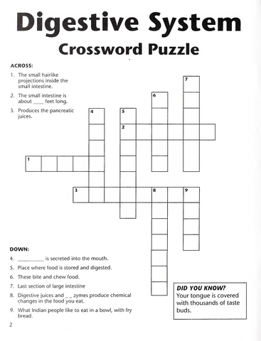 Digestive system crossword puzzle free printable puzzle games