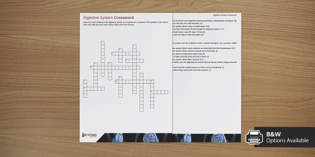 Digestive system crossword