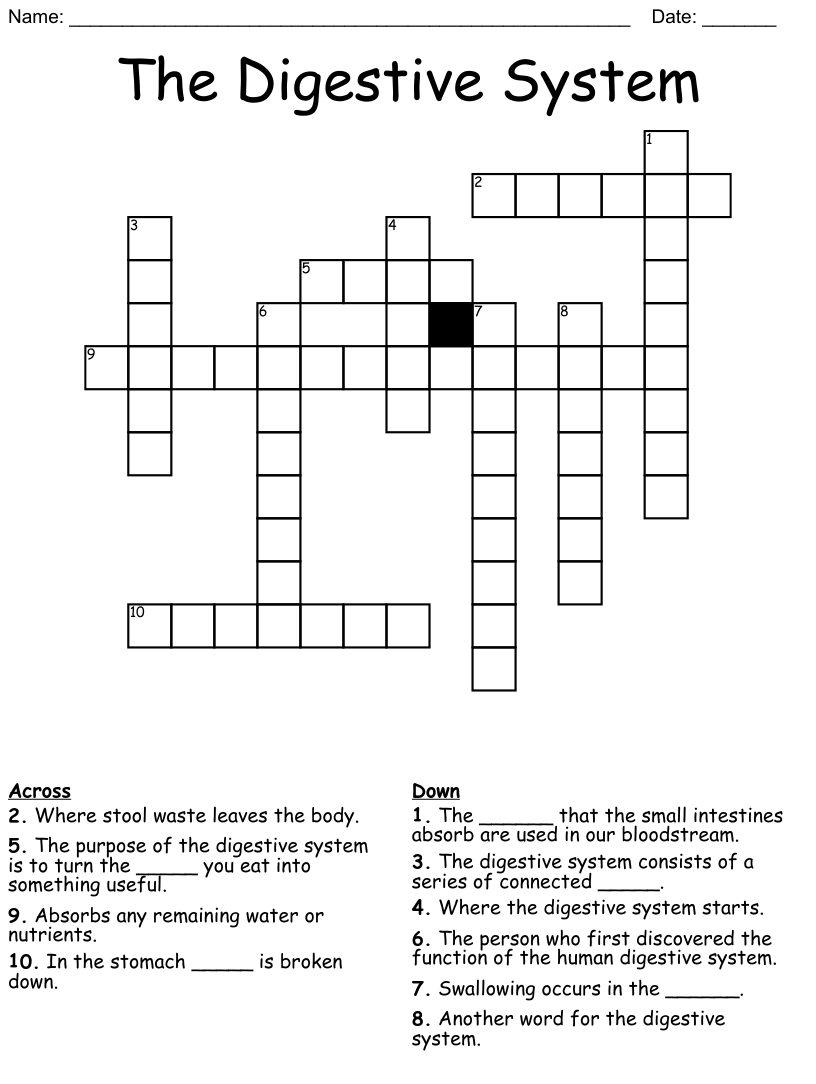 The digestive system crossword