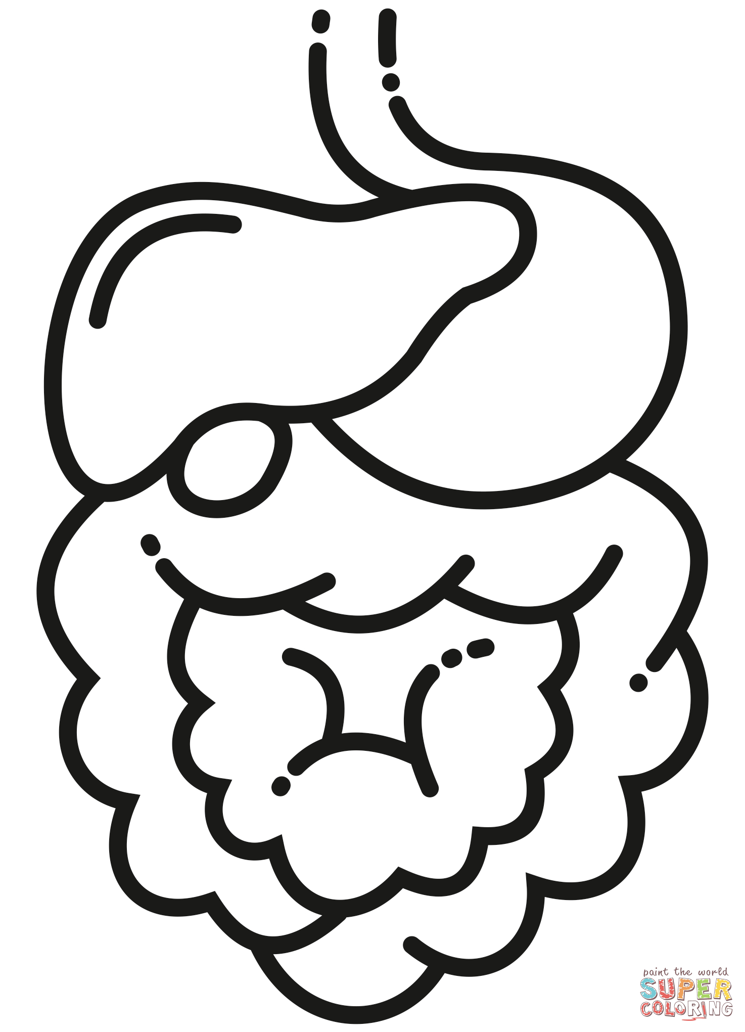 Digestive system coloring page free printable coloring pages
