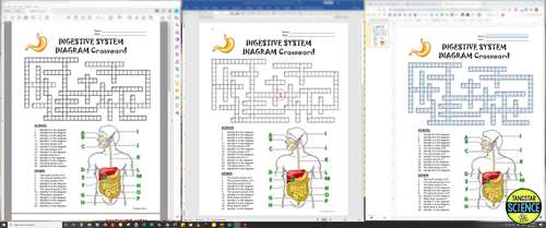 Digestive system crossword with diagram printable distance learning options