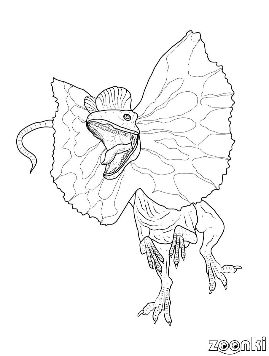 Dinosaurs colouring pages for kids