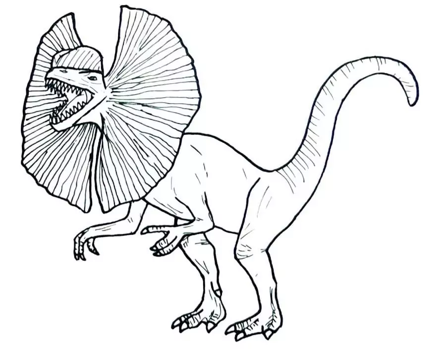 Printable dilophosaurus coloring page