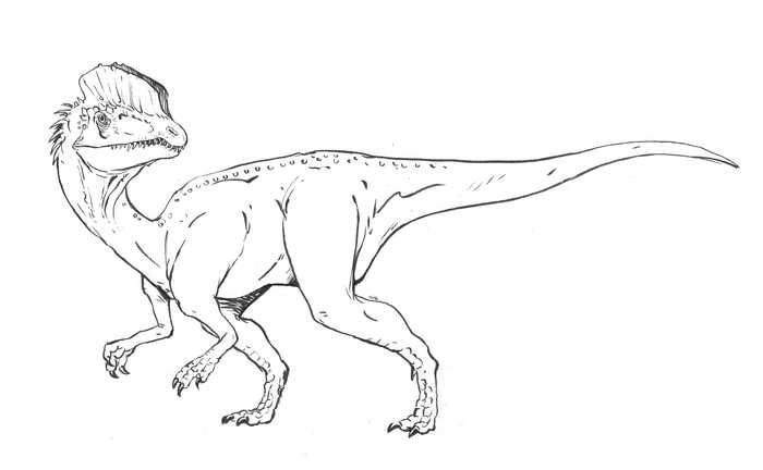 Colorful dilophosaurus dinosaur coloring page
