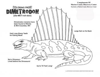 Prehistoric planet store