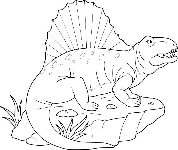 Dimetrodon stock illustration