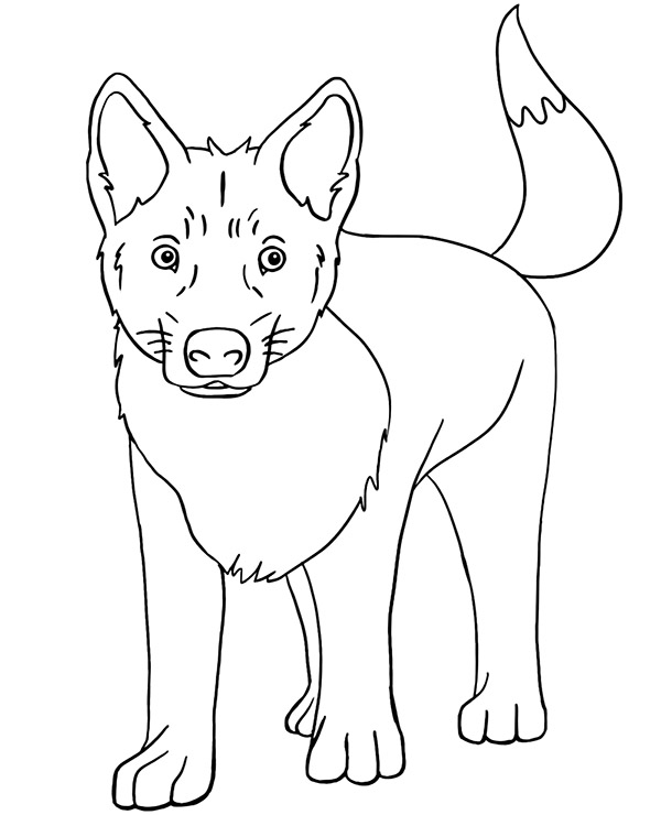 Dingo dog coloring page to print